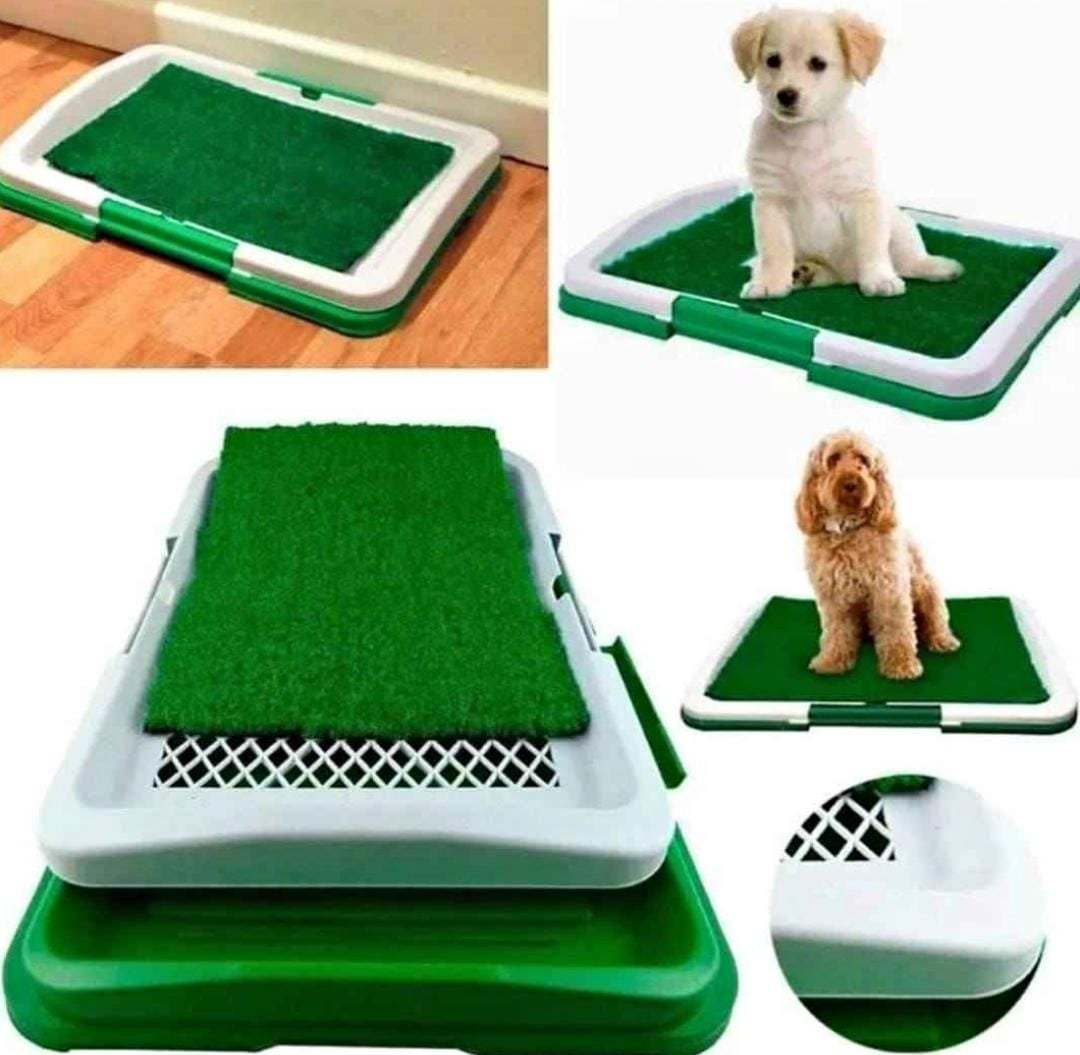 BAÑO ECOLÓGICO PARA PERROS Y MASCOTAS